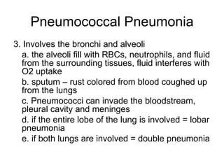 Pneumococcal Pneumonia 3. Involves the bronchi and alveoli a. the alveoli fill with RBCs, neutrophils, and fluid from the surrounding tissues, fluid interferes with O2 uptake b. sputum – rust colored from blood coughed up from the lungs c. Pneumococci can invade the bloodstream, pleural cavity and meninges d. if the entire lobe of the lung is involved = lobar pneumonia e. if both lungs are involved = double pneumonia 