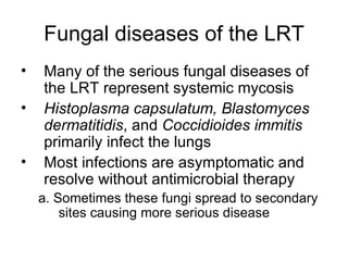 Fungal diseases of the LRT Many of the serious fungal diseases of the LRT represent systemic mycosis Histoplasma capsulatum, Blastomyces   dermatitidis , and  Coccidioides immitis  primarily infect the lungs Most infections are asymptomatic and resolve without antimicrobial therapy a. Sometimes these fungi spread to secondary sites causing more serious disease 