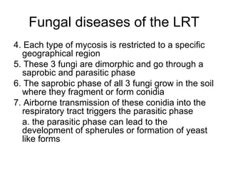 Fungal diseases of the LRT 4. Each type of mycosis is restricted to a specific geographical region 5. These 3 fungi are dimorphic and go through a saprobic and parasitic phase 6. The saprobic phase of all 3 fungi grow in the soil where they fragment or form conidia 7. Airborne transmission of these conidia into the respiratory tract triggers the parasitic phase a. the parasitic phase can lead to the development of spherules or formation of yeast like forms 