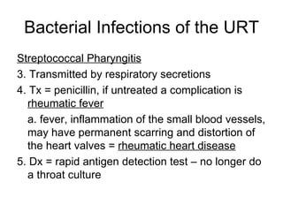 Bacterial Infections of the URT Streptococcal Pharyngitis 3. Transmitted by respiratory secretions 4. Tx = penicillin, if untreated a complication is  rheumatic fever a. fever, inflammation of the small blood vessels, may have permanent scarring and distortion of the heart valves =  rheumatic heart disease 5. Dx = rapid antigen detection test – no longer do a throat culture 