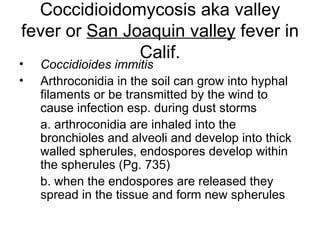 Coccidioidomycosis aka valley fever or  San Joaquin valley  fever in Calif. Coccidioides immitis   Arthroconidia in the soil can grow into hyphal filaments or be transmitted by the wind to cause infection esp. during dust storms a. arthroconidia are inhaled into the bronchioles and alveoli and develop into thick walled spherules, endospores develop within the spherules (Pg. 735)  b. when the endospores are released they spread in the tissue and form new spherules 