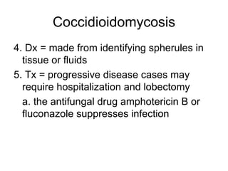 Coccidioidomycosis 4. Dx = made from identifying spherules in tissue or fluids 5. Tx = progressive disease cases may require hospitalization and lobectomy a. the antifungal drug amphotericin B or fluconazole suppresses infection 