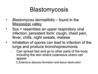 Blastomycosis Blastomyces dermatitidis  – found in the  Mississippi valley Sxs = resembles an upper respiratory viral infection; persistent form: cough, chest pain, fever, chills, night sweats, malaise Inhalation of spores can lead to infection of the lungs and produce bronchopneumonia Can spread fast and go to other parts of the body including the skin where cutaneous ulcers can appear  1) Extensive abscess formation and tissue destruction 