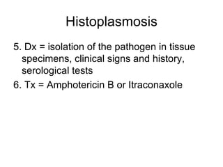 Histoplasmosis 5. Dx = isolation of the pathogen in tissue specimens, clinical signs and history, serological tests 6. Tx = Amphotericin B or Itraconaxole 