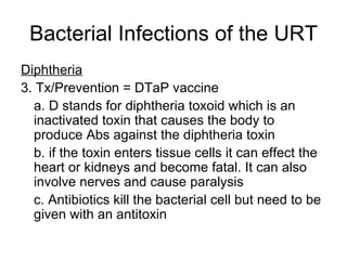 Bacterial Infections of the URT Diphtheria 3. Tx/Prevention = DTaP vaccine a. D stands for diphtheria toxoid which is an inactivated toxin that causes the body to produce Abs against the diphtheria toxin b. if the toxin enters tissue cells it can effect the heart or kidneys and become fatal. It can also involve nerves and cause paralysis c. Antibiotics kill the bacterial cell but need to be given with an antitoxin 