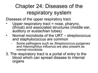Chapter 24: Diseases of the respiratory system ,[object Object],[object Object],[object Object],[object Object],[object Object]
