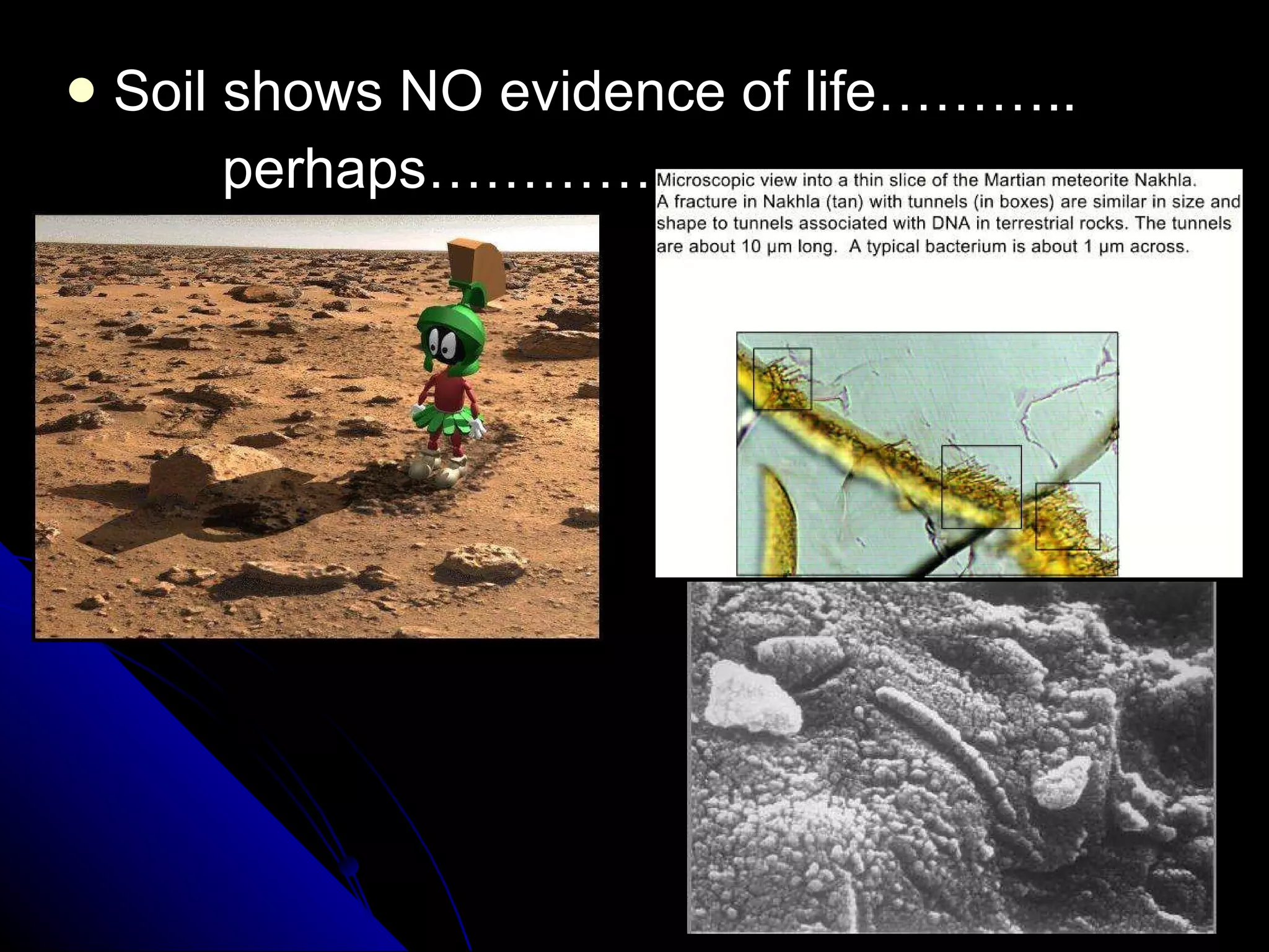 Soil shows NO evidence of life……….. perhaps…………… 
