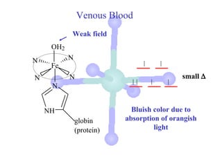 Venous Blood
           Weak field
     OH2
N          N
     Fe
N          N                                small ∆
     N


    NH                       Bluish color due to
               globin      absorption of orangish
               (protein)            light
 