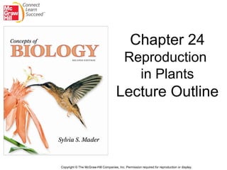 Chapter 24
                                            Reproduction
                                              in Plants
                                      Lecture Outline



Copyright © The McGraw-Hill Companies, Inc. Permission required for reproduction or display.
 
