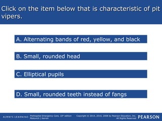 Prehospital Emergency Care, 10th
edition
Mistovich | Karren
Copyright © 2014, 2010, 2008 by Pearson Education, Inc.
All Rights Reserved
Click on the item below that is characteristic of pitClick on the item below that is characteristic of pit
vipers.vipers.
A. Alternating bands of red, yellow, and black
B. Small, rounded head
C. Elliptical pupils
D. Small, rounded teeth instead of fangs
 