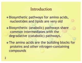 Comprehensive Overview of Amino Acid Biosynthesis and Derivatives | PPTX