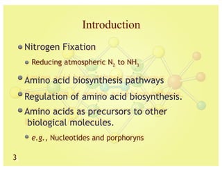 Comprehensive Overview of Amino Acid Biosynthesis and Derivatives | PPTX