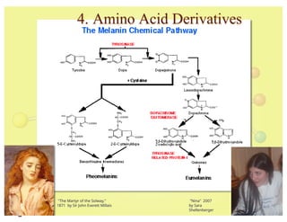 Comprehensive Overview of Amino Acid Biosynthesis and Derivatives | PPTX
