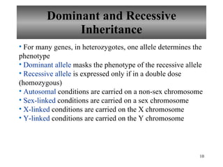 Dominant and Recessive Inheritance For many genes, in heterozygotes, one allele determines the phenotype Dominant   allele  masks the phenotype of the recessive allele Recessive   allele  is expressed only if in a double dose (homozygous) Autosomal  conditions are carried on a non-sex chromosome Sex-linked  conditions are carried on a sex chromosome X-linked  conditions are carried on the X chromosome Y-linked  conditions are carried on the Y chromosome 