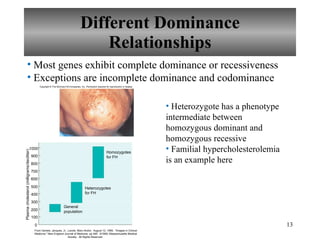 Different Dominance Relationships Heterozygote has a phenotype intermediate between homozygous dominant and homozygous recessive Familial hypercholesterolemia is an example here Most genes exhibit complete dominance or recessiveness Exceptions are incomplete dominance and codominance Copyright © The McGraw-Hill Companies, Inc. Permission required for reproduction or display. 500 400 300 200 0 100 600 1000 900 800 700 Plasma cholesterol (milligrams/deciliter) Homozygotes for FH Heterozygotes for FH General population From Genest, Jacques, Jr., Lavoie, Marc-Andre.  August 12, 1999.  "Images in Clinical Medicine." New England Journal of Medicine, pp 490.  ©1999, Massachusetts Medical Society.  All Rights Reserved.   