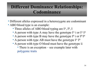 Different Dominance Relationships: Codominance Different alleles expressed in a heterozygote are codominant ABO blood type is an example: Three alleles of ABO blood typing are I A , I B , I A person with type A may have the genotype I A  i or I A  I A A person with type B may have the genotype I B  i or I B  I B A person with type AB must have the genotype I A  I B   A person with type O blood must have the genotype ii There is an exception – see example later with  polygenic traits 