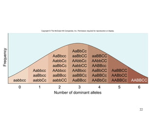 Number of dominant alleles Frequency 0 1 2 3 4 5 6 aabbcc aabbCc aabbCC AaBBcc AABbCc AABBCc aaBbcc aaBBcc aaBBCc AaBBCc AABbCC Aabbcc AAbbcc AABbcc AaBbCC aaBbCc AabbCC AABBcc AabbCc AAbbCc AAbbCC AaBbcc aaBbCC AaBbCc aaBBCC AaBBCC AABBCC Copyright © The McGraw-Hill Companies, Inc. Permission required for reproduction or display. 