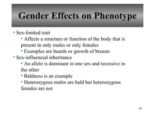 Gender Effects on Phenotype Sex-limited trait Affects a structure or function of the body that is present in only males or only females Examples are beards or growth of breasts Sex-influenced inheritance An allele is dominant in one sex and recessive in the other Baldness is an example Heterozygous males are bald but heterozygous females are not 