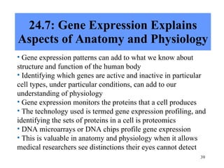 24.7: Gene Expression Explains Aspects of Anatomy and Physiology Gene expression patterns can add to what we know about structure and function of the human body Identifying which genes are active and inactive in particular cell types, under particular conditions, can add to our understanding of physiology Gene expression monitors the proteins that a cell produces The technology used is termed gene expression profiling, and identifying the sets of proteins in a cell is proteomics DNA microarrays or DNA chips profile gene expression This is valuable in anatomy and physiology when it allows medical researchers see distinctions their eyes cannot detect 