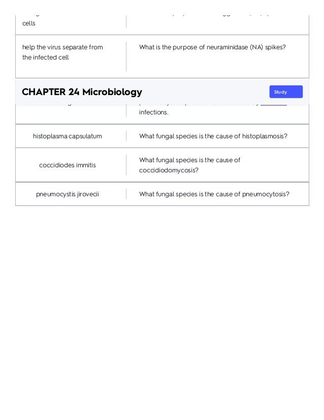 CHAPTER 24 Microbiology_ Flashcards and practice test _ Quizlet.pdf