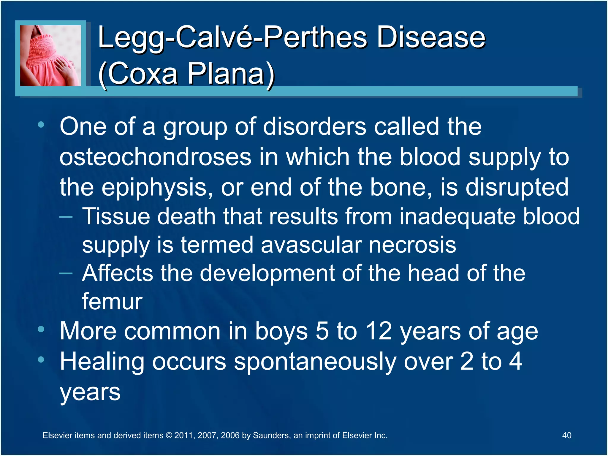 Legg-Calvé-Perthes DiseaseLegg-Calvé-Perthes Disease
(Coxa Plana)(Coxa Plana)
• One of a group of disorders called the
osteochondroses in which the blood supply to
the epiphysis, or end of the bone, is disrupted
– Tissue death that results from inadequate blood
supply is termed avascular necrosis
– Affects the development of the head of the
femur
• More common in boys 5 to 12 years of age
• Healing occurs spontaneously over 2 to 4
years
Elsevier items and derived items © 2011, 2007, 2006 by Saunders, an imprint of Elsevier Inc. 40
 