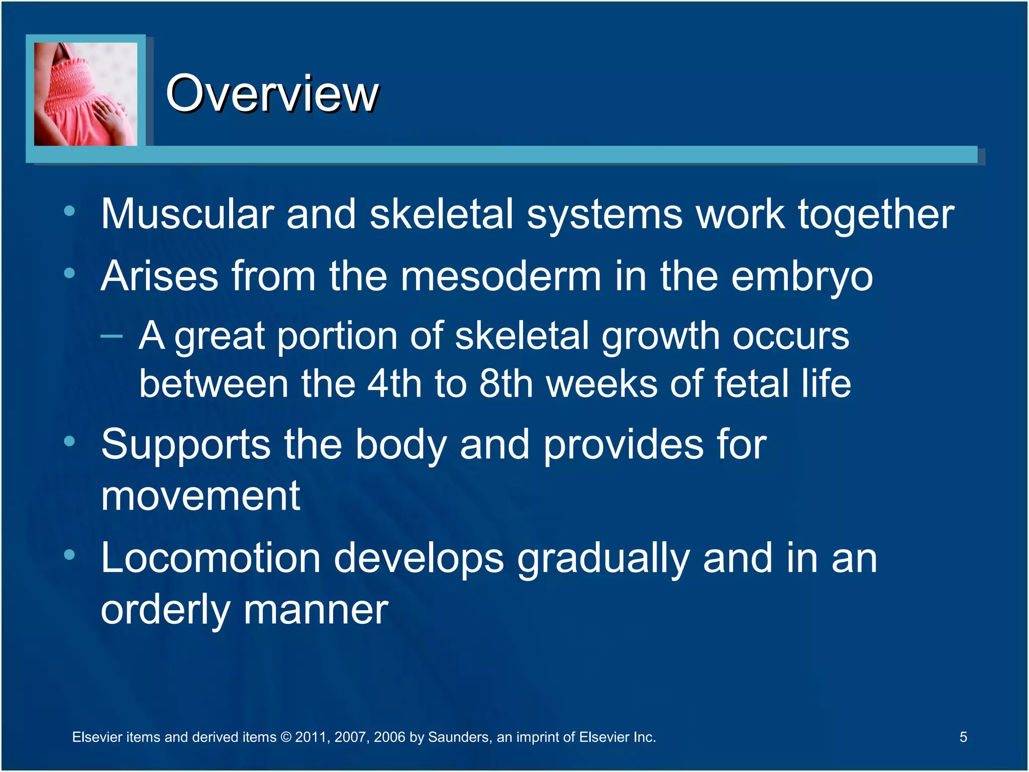 OverviewOverview
• Muscular and skeletal systems work together
• Arises from the mesoderm in the embryo
– A great portion of skeletal growth occurs
between the 4th to 8th weeks of fetal life
• Supports the body and provides for
movement
• Locomotion develops gradually and in an
orderly manner
5Elsevier items and derived items © 2011, 2007, 2006 by Saunders, an imprint of Elsevier Inc.
 