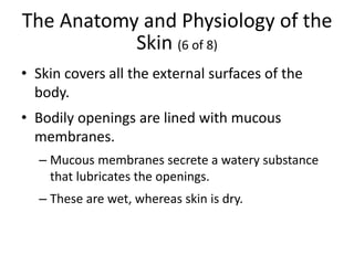 The Anatomy and Physiology of the
Skin (6 of 8)
• Skin covers all the external surfaces of the
body.
• Bodily openings are lined with mucous
membranes.
– Mucous membranes secrete a watery substance
that lubricates the openings.
– These are wet, whereas skin is dry.
 