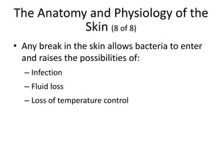 The Anatomy and Physiology of the
Skin (8 of 8)
• Any break in the skin allows bacteria to enter
and raises the possibilities of:
– Infection
– Fluid loss
– Loss of temperature control
 