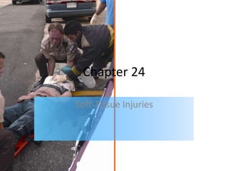 Chapter 24
Soft-Tissue Injuries
 