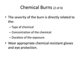 Chapter 24 PPT part 2.pptx