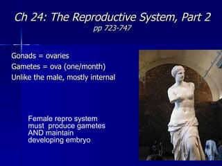 Ch 24: The Reproductive System, Part 2 pp 723-747 Gonads = ovaries Gametes = ova (one/month) Unlike the male, mostly internal Female repro system must  produce gametes AND maintain developing embryo 
