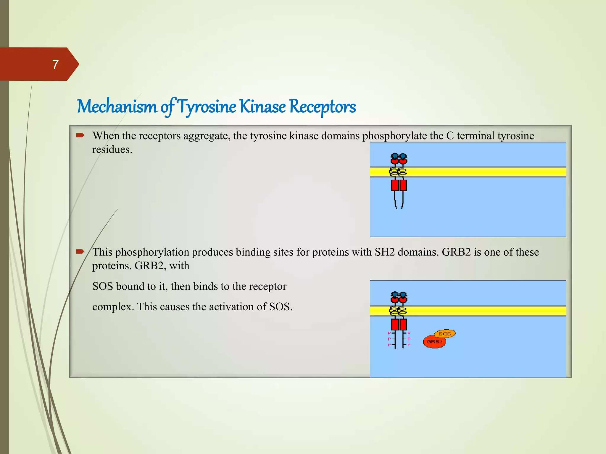 Chapter 24 tyrosine kinase inhibitors | PPT