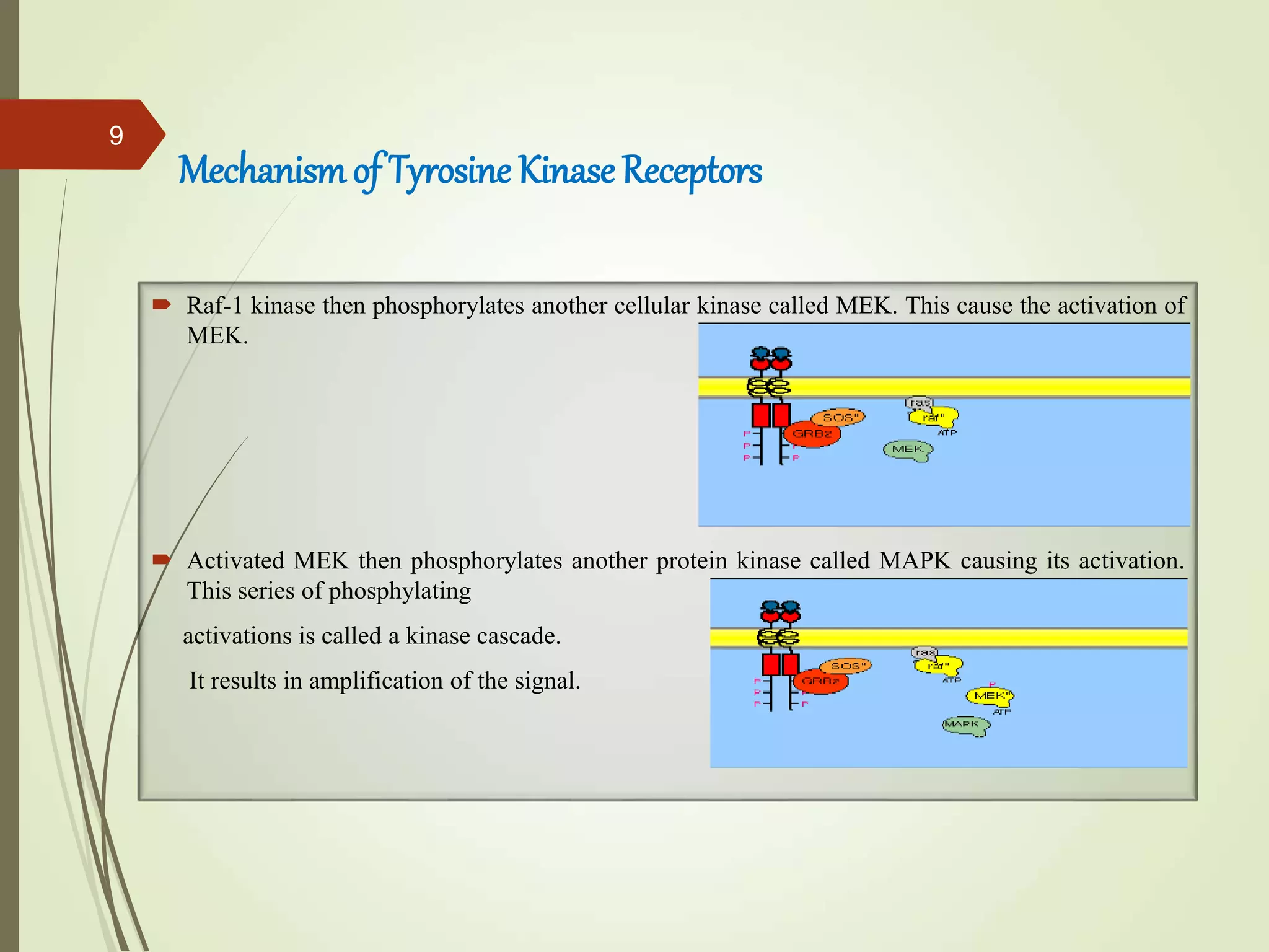 Chapter 24 tyrosine kinase inhibitors | PPT