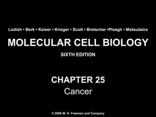 MOLECULAR CELL BIOLOGY
SIXTH EDITION
Copyright 2008 © W. H. Freeman and Company
CHAPTER 25
Cancer
Lodish • Berk • Kaiser • Krieger • Scott • Bretscher •Ploegh • Matsudaira
© 2008 W. H. Freeman and Company
 