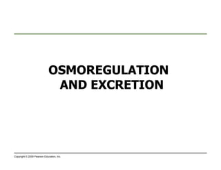 OSMOREGULATION 
AANNDD EEXXCCRREETTIIOONN 
Copyright © 2009 Pearson Education, Inc. 
 