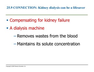 Filtration 
Nephron tubule 
H2O, other small molecules 
Reabsorption Secretion 
Excretion 
Urine 
Capillary 
Interstitial fluid 
Major processes of the urinary system 
 