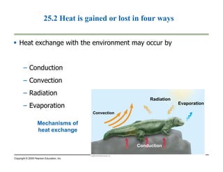 25.2 Heat is gained or lost in four ways 
 Heat exchange with the environment may occur by 
– Conduction 
– Convection 
– Radiation 
– Evaporation 
Copyright © 2009 Pearson Education, Inc. 
Convection 
Conduction 
Evaporation 
Radiation 
Mechanisms of 
heat exchange 
 