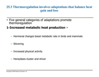 25.3 Thermoregulation involves adaptations that balance heat 
gain and loss 
 Five general categories of adaptations promote 
thermoregulation 
1-Increased metabolic heat production  
– Hormonal changes boost metabolic rate in birds and mammals 
– Shivering 
– Increased physical activity 
– Honeybees cluster and shiver 
Copyright © 2009 Pearson Education, Inc. 
 