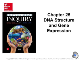 25-1
Chapter 25
DNA Structure
and Gene
Expression
Copyright © 2019 McGraw-Hill Education. All rights reserved. No reproduction or distribution without the prior written consent of McGraw-Hill Education.
 