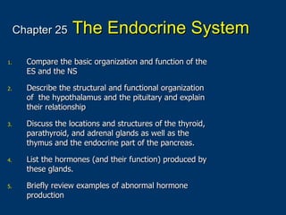 Chapter 25   The Endocrine System ,[object Object],[object Object],[object Object],[object Object],[object Object]