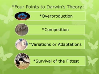 *Four Points to Darwin’s Theory:

            *Overproduction


             *Competition


       *Variations or Adaptations



         *Survival of the Fittest
 