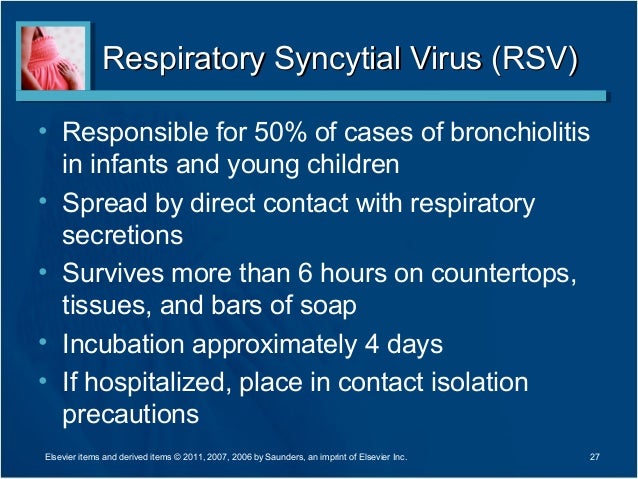 showing 3rd image of What Isolation Precautions For Rsv Infection Control in the Emergency Department showing 3rd image of What Isolation Precautions For Rsv Infection Control in the Emergency Department