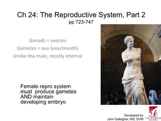Ch 24: The Reproductive System, Part 2
                         pp 723-747


        Gonads = ovaries
 Gametes = ova (one/month)
Unlike the male, mostly internal




   Female repro system
   must produce gametes
   AND maintain
   developing embryo

                                                 Developed by
                                      John Gallagher, MS, DVM
 