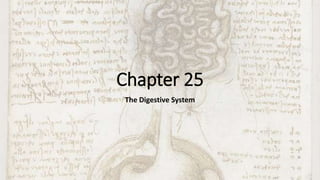 Chapter 25
The Digestive System
 