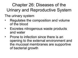 Chapter 26: Diseases of the Urinary and Reproductive System ,[object Object],[object Object],[object Object],[object Object]