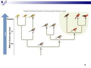 Chapter 26: Taxonomy and Systematics | PPT | Biological Sciences | Science