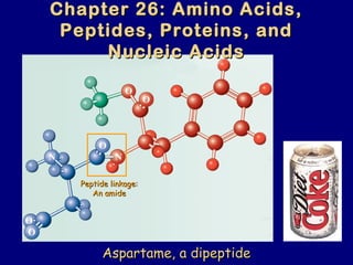 Chapter 26: Amino Acids,Chapter 26: Amino Acids,
Peptides, Proteins, andPeptides, Proteins, and
Nucleic AcidsNucleic Acids
Aspartame, a dipeptideAspartame, a dipeptide
Peptide linkage:Peptide linkage:
An amideAn amide
 