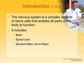 Introduction (1 of 2)
• The nervous system is a complex network
of nerve cells that enables all parts of the
body to function.
• It includes:
– Brain
– Spinal cord
– Several billion nerve fibers
 