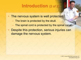 Chapter_26 Nervous System Parts and Functions .ppt