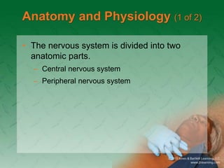 Chapter_26 Nervous System Parts and Functions .ppt
